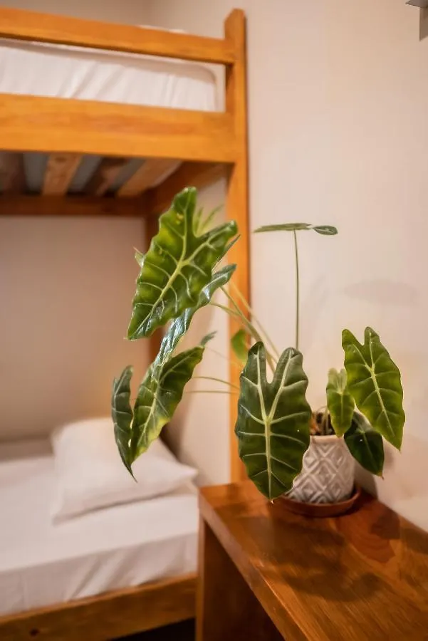 Hotel Mecate Hostel By Xibalba Bacalar